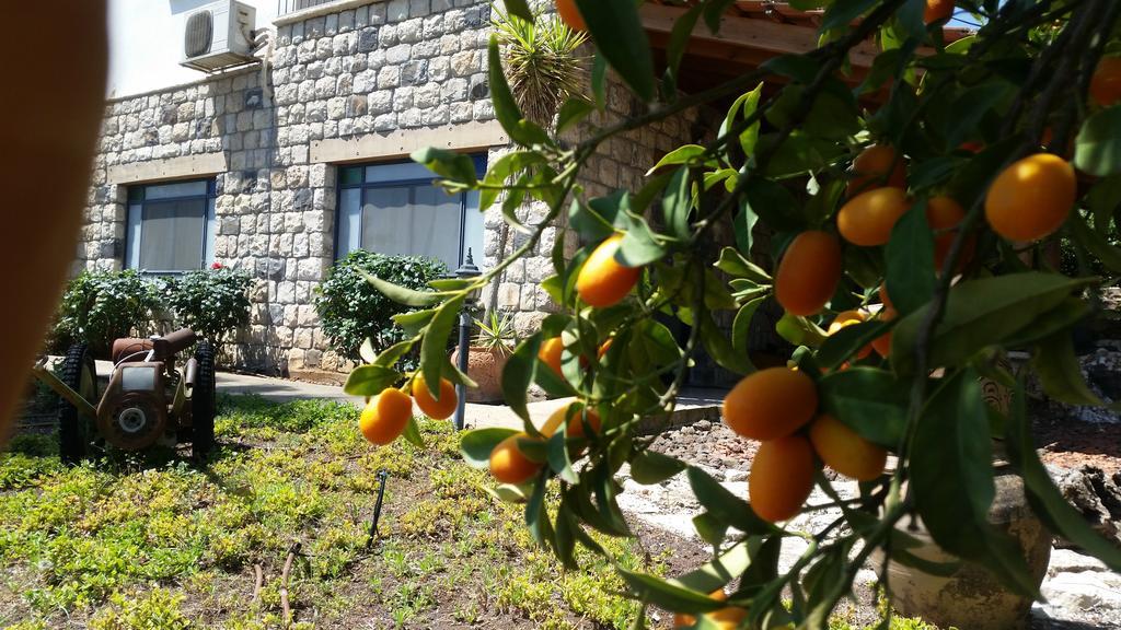 Shwartzimmer Rosh Pinna Esterno foto
