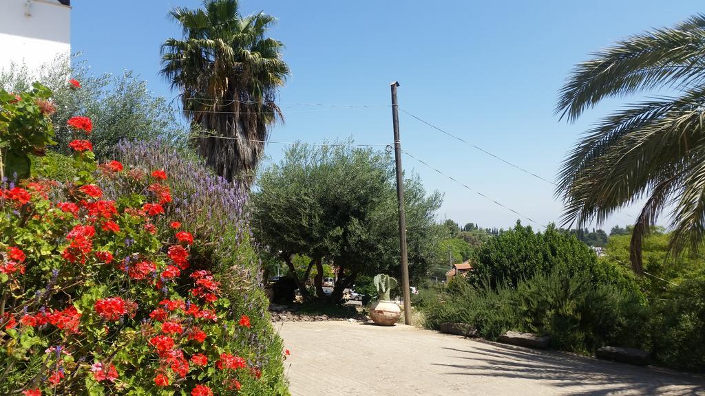Shwartzimmer Rosh Pinna Esterno foto